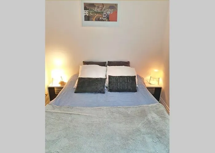 Itsas Aldea T2 A 3 Min A Pieds De La Baie De St Jean De Luz * Saint-Jean-de-Luz