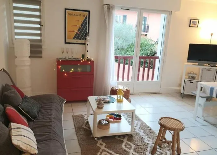 Apartment Itsas Aldea T2 A 3 Min A Pieds De La Baie De St Jean De Luz *